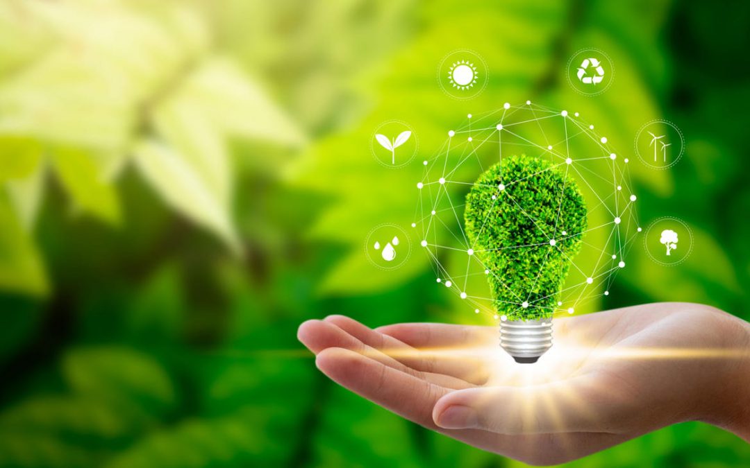 Bando di selezione di accesso per titoli per l’ammissione al corso di formazione professionalizzante in Environmental Manager
